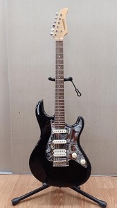 Fernandes Jg | eBay