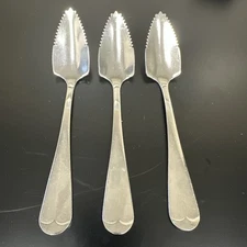 3-Enjoy Grapefruit  & Unbranded Stainless Serrated Fruit Spoons 6"