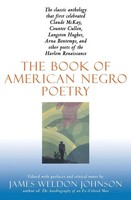 James Weldon Johnson | THE Book OF American Negro Poetry | Taschenbuch