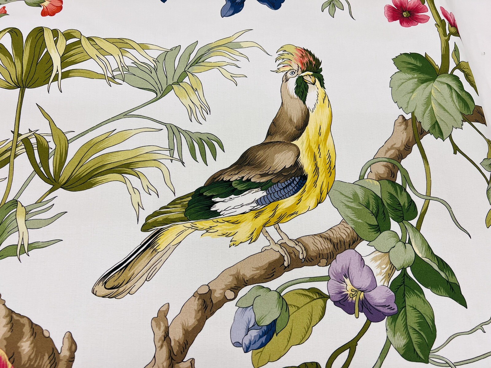 Scalamandre Tropical Bird & Floral Cotton Print Fabric Belize/ Ivory 3