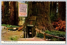 Postcard California World’s Famous Tree House 
