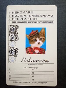 Nameneko | eBay