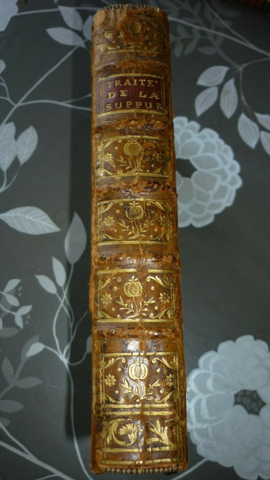 Traité de la suppuration