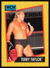 1991 Impel WCW #73 Terry Taylor