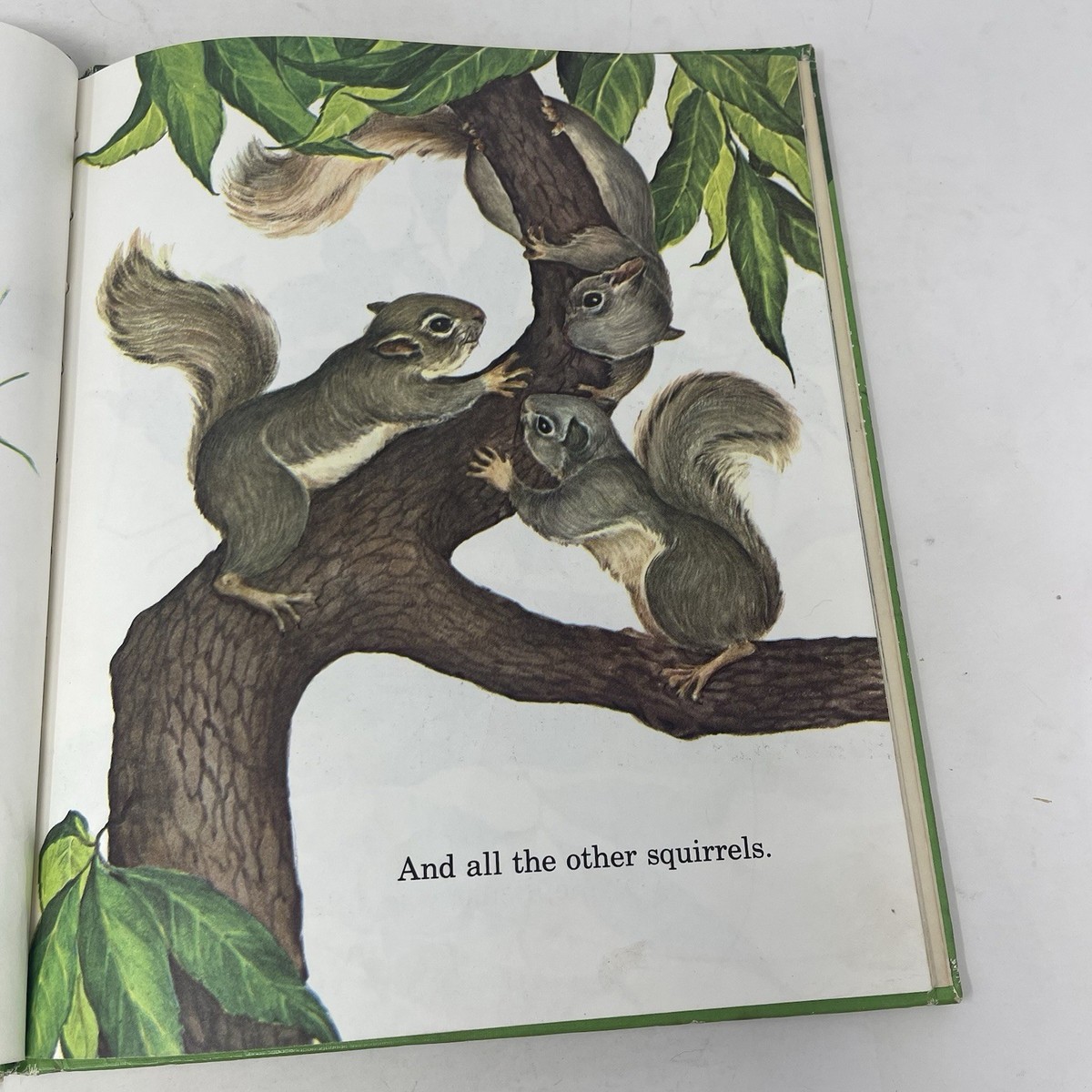 Benje Squirrel Who Lost His Tail Elizabeth Rice 1969 HC Ex-Library