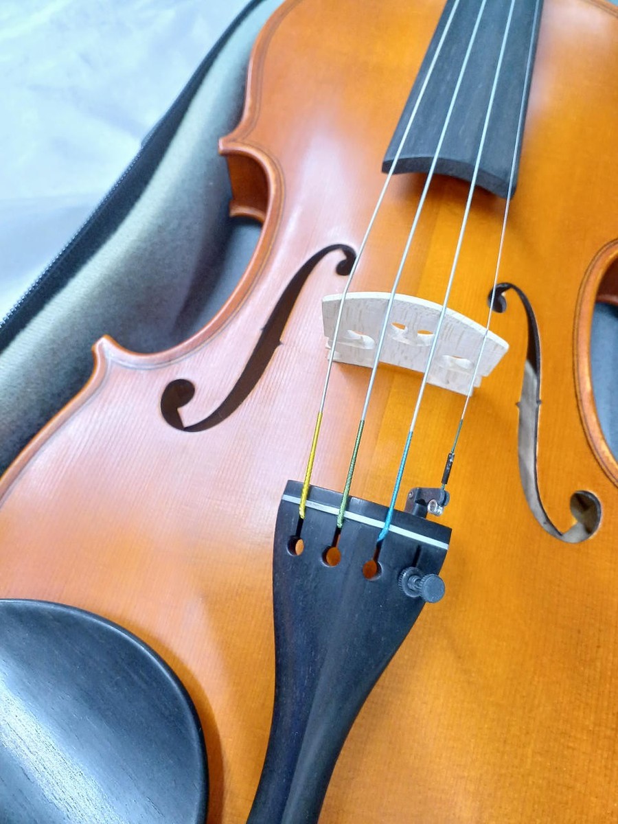 Gliga Fecit Anno Violin | eBay