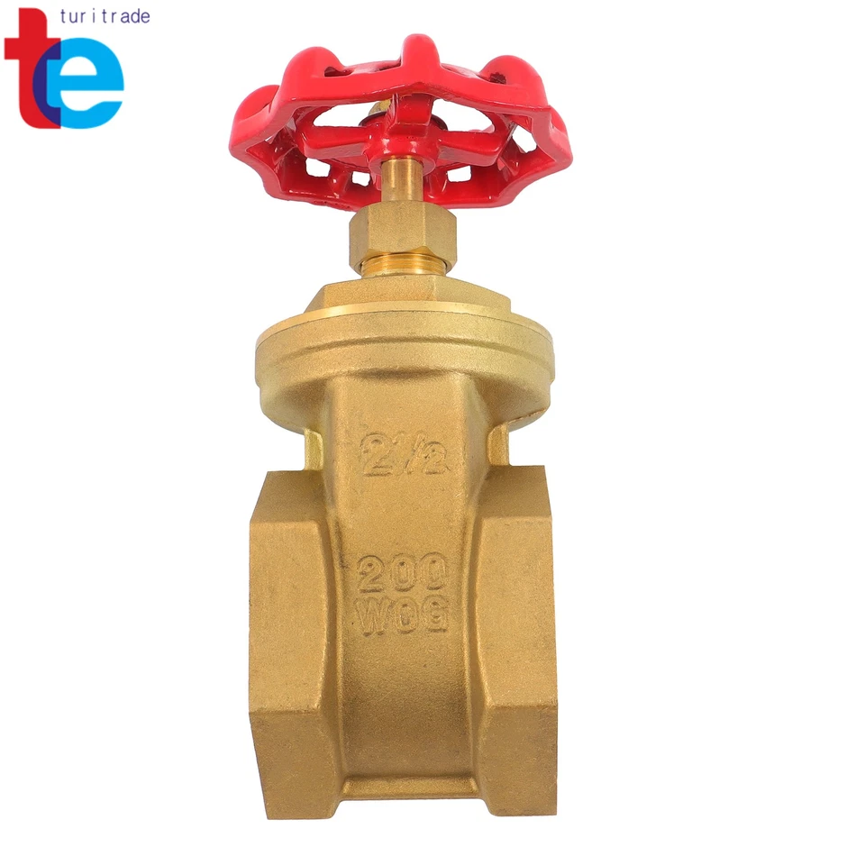 Industrial Brass Gate Valve 2-1/2" DN65 Female NPT for Water Meter & Air Switch - Image 3 of 4
