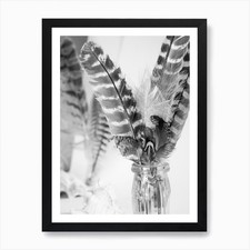 Feathers In A Vase Art Print Framed Wall Art Poster Canvas Print Picture