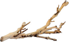 Forest Branch Small   Natural Wood Terrarium Decoration for Reptiles, Amphibians