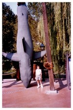 1980s Boy Poses Under Giant Upside Down Shark Statue Theme Park VINTAGE PHOTO