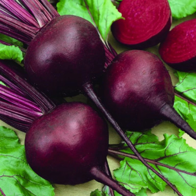 Detriot Dark Red Beet 100 seeds SEE OUR STORE - MANY RARE SEEDS ...