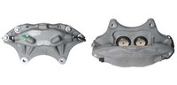 Bremssattel Axia 395663 FüR Tesla Model 100D AWD 60D 70D 75D 85D 90D P100D P85