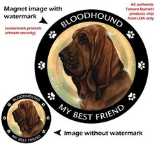 Bloodhound My Best Friend Dog Car Magnet