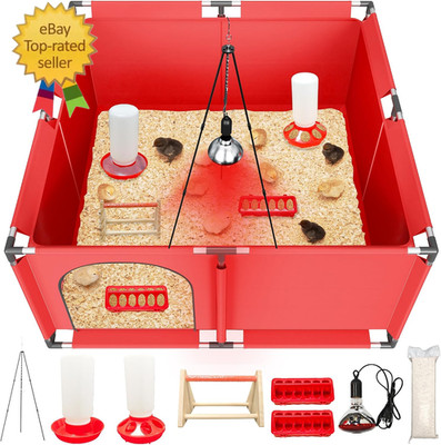 All-In-One Chicken Brooder Box for Chicks Starter Kit with Timer Heat Lamp & Sta