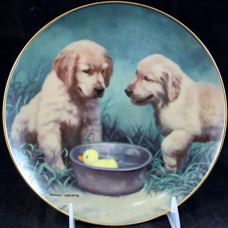 Mint green hotsell golden retriever