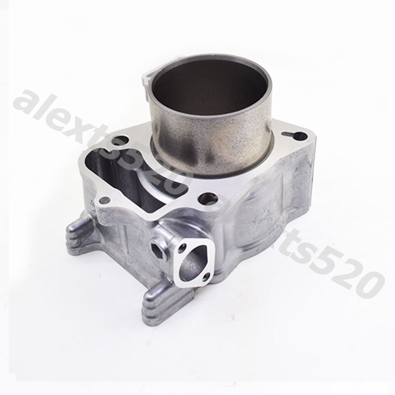 KIT COMPLETO CAMICIA PISTONE FL812 02910303 PER DEUTZ - Foto 8