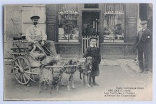 CPA Loiret Briare Les Voitures à Chiens Attelage du Charcutier (53610)
