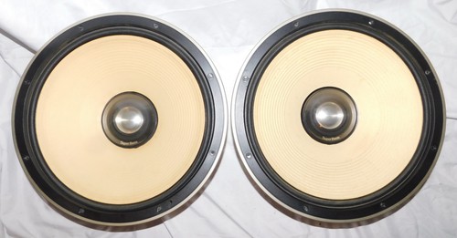 Technics SASS38PL01-T WooferS PAIR Super Bass SB-G900, 4-ohm Tested Working