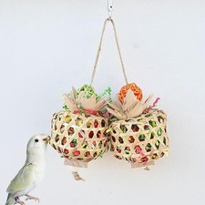 Parrot Cage Shredder Toy Exercise Foraging for Parakeets Macaws Cockatoos