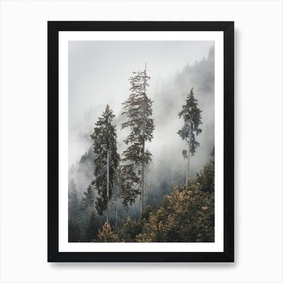 Three Foggy Pines Kunstdruck gerahmt Wandbild Poster Leinwanddruck Bild