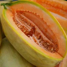 30 Banana Melon Seeds, Banana Cantaloupe, Aromatic, NON-GMO, FREE SHIPPING 92