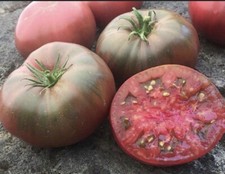 Black Krim Tomato Seeds Heirloom NJ USA See My store For Large rat Selection