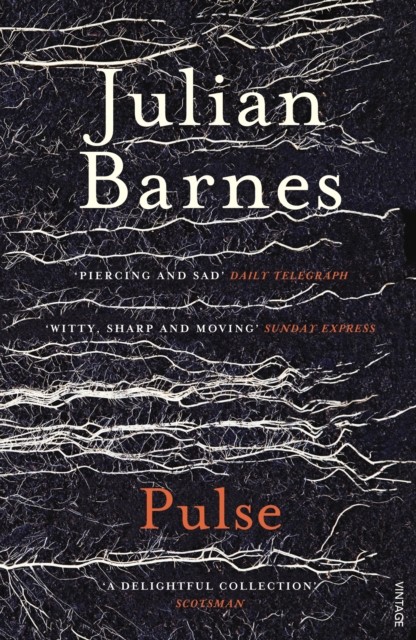 Pulse by Julian Barnes (Paperback Book)