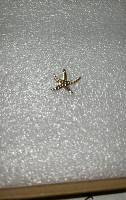 14k Yellow Gold Diamond Star Fish Ladies Pendant Necklace Charm