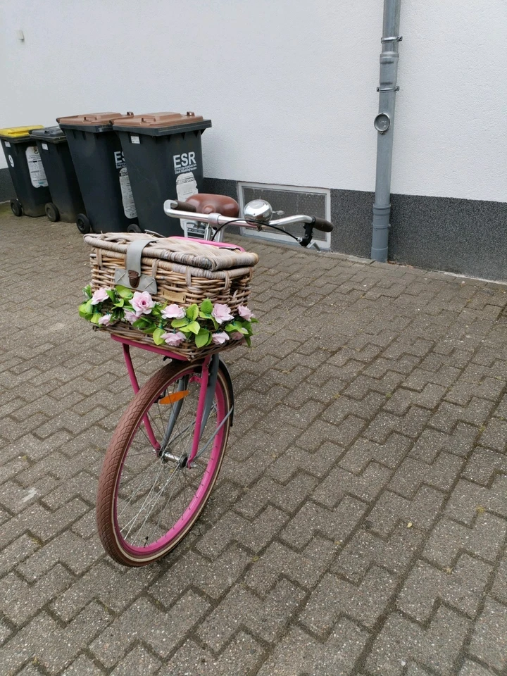 Popal Daily Dutch Basic 26 Zoll - 46 cm Hollandrad für Mädchen gebraucht - Bild 2 von 4