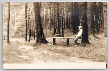 RPPC Young Man Seated On Bench In Forest With Outhouse Real Photo Postcard I31