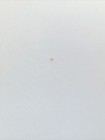 Bild 10 von 10