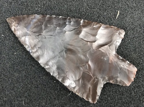 Fine 4 Newnan Translucent coral Indian artifacts Hernando Florida - 第 1/3 張圖片