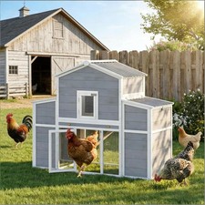 Large Chicken Coop for 2-4 Chickens with Rain Protection  Nest Box