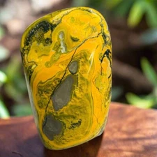 Authentic High Quality Bumble Bee Jasper Free Form 407