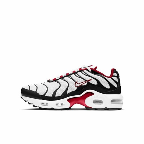 Nike Air Max Plus CD0609-104 from 263,00 €