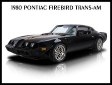 1980 Pontiac Firebird Trans Am In Black Honeycomb Wheels New Metal Sign 9x12 1980 Pontiac Firebird Trans Am In Black Honeycomb Wheels New Metal Sign 9x12