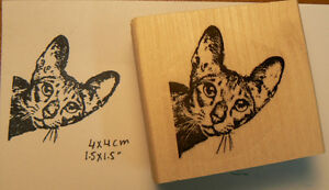 Sleeping cat rubber stamp WM P14