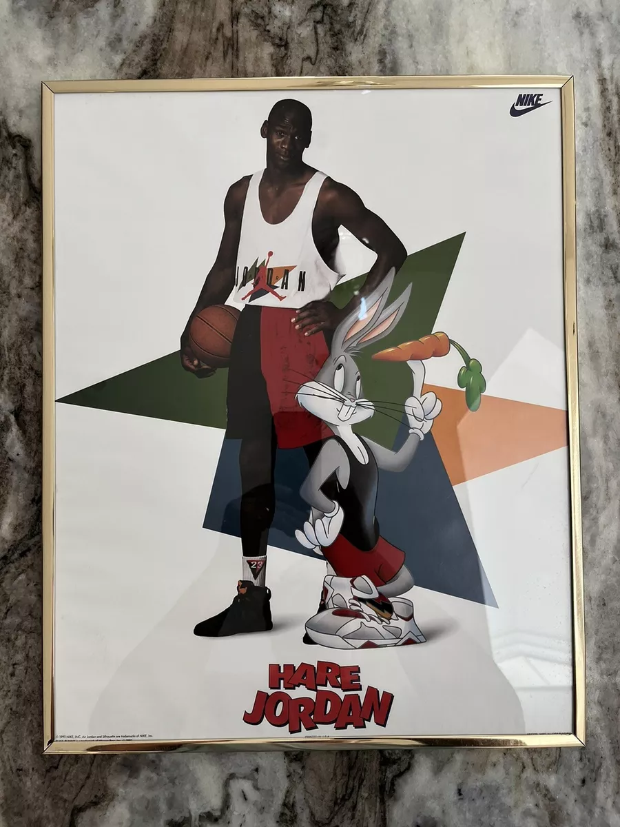 Space Jam Michael Jordan Poster