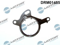 DRM01455 Dr.Motor Automotive Dichtung, Unterdruckpumpe FüR Ford,Volvo