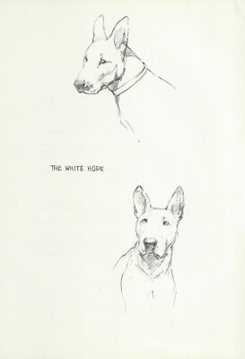 Bull Terrier - CUSTOM MATTED - Vintage Dog Art Print - 1948 KF Barker