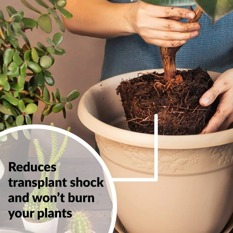 Superthrive Vitamin Solution For Plants 3.7L Super Thrive Growth Enhancer Plant - image 4 of 4