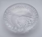Foto 2 di 13