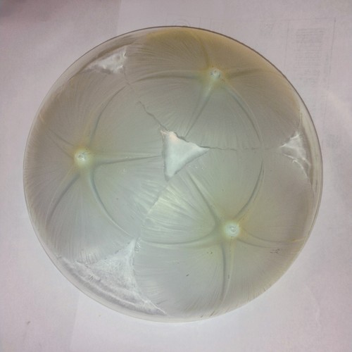 R. Lalique Volubilis Yellow Hue Opalescent Bowl 8.5" - Picture 2 of 10