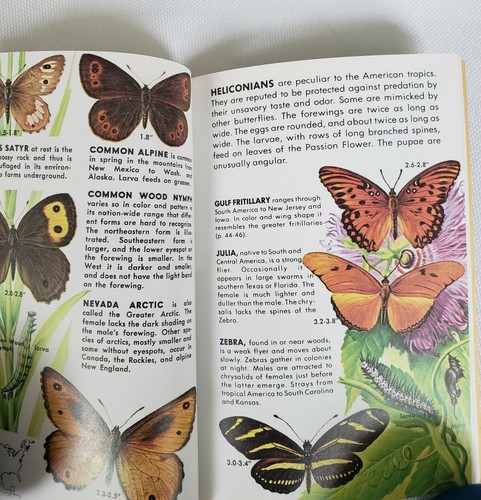 A Golden Guide: Butterflies and Moths by Robert Mitchell and Herbert Zim, 1987 - Imagen 6 de 11