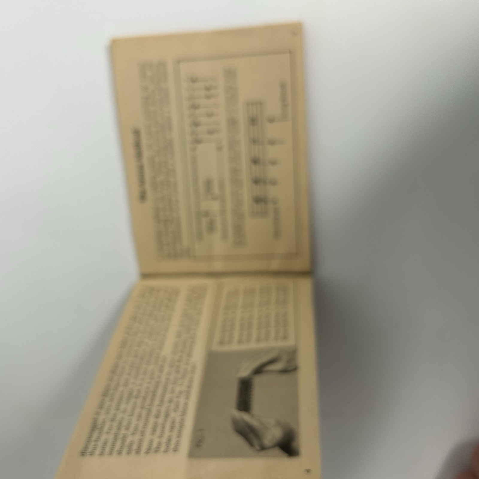 Vintage "The Super Chromonica" M. Hohner Harmonica - Made In Germany “C Note”