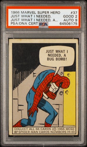 1966 Marvel SPIDER-MAN Rookie Signed STAN LEE Auto PSA/DNA RC