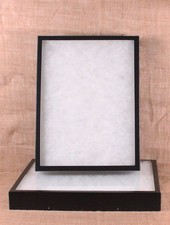 Collector's Display Case: 12 x 16x 2" Riker Type - Package of 2