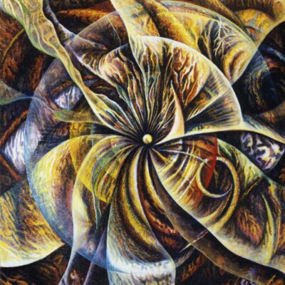 Elementaural Research Project   Elementality CD