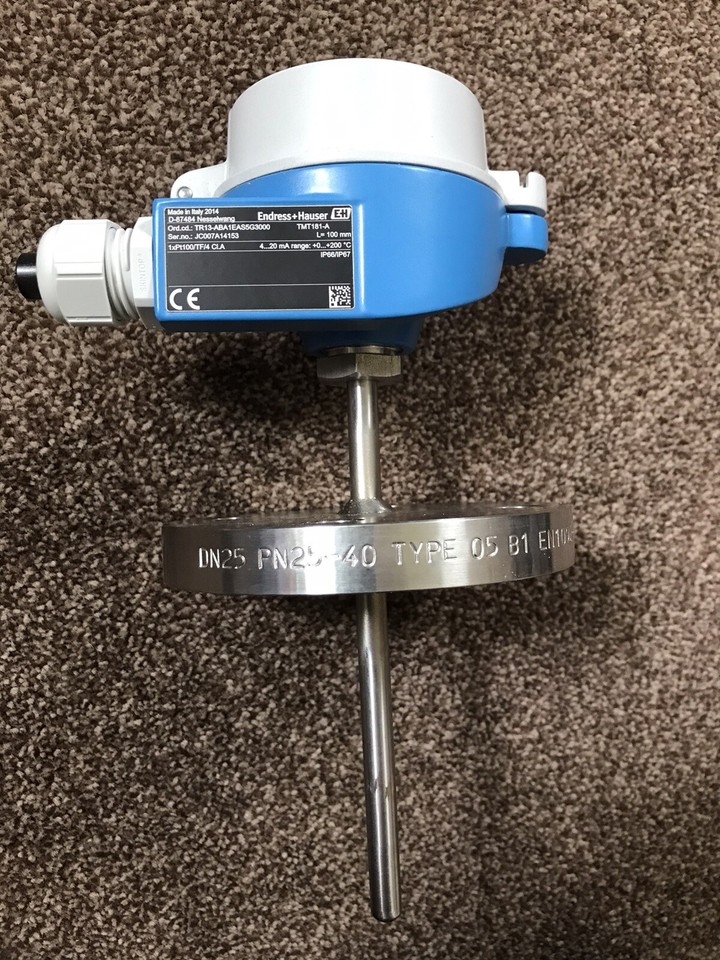 Endress + Hauser Pt100 Temperature Sensor | eBay UK