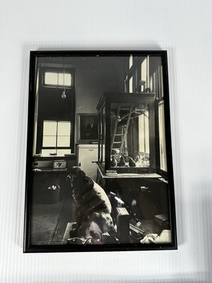 Antique Photo Interior Dog Pigeon Glass Bird Cage Refrigerator Suders Art Store